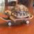 Tech Deck Turtle