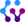 cybervein