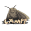 MOTH