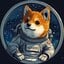 Asteroid Shiba