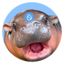 HIPPO