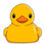 DUCKY