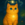 hosico-cat