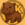 Pygmy Hippo