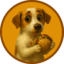 NOMDOG