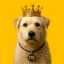 KING