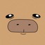 CAPY