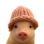 PIGWIF