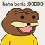 BENIS