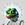 mind-of-pepe
