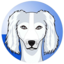 SALUKI