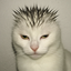 SIGMEW