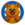 Quokka
