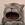 maow