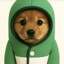 PUP