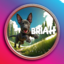 BRIAH