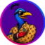 PCOCK