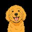 SAMSON
