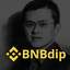 BNBDIP