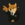 new-x-ceo-is-back