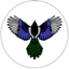 RITO logo