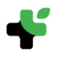 PTOY logo