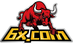 6X Token