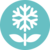 cryptologi.st coin-SnowBlossom(snow)