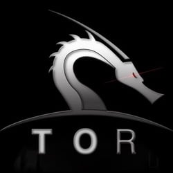 Torchain logo