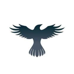Logo of Raven Protocol