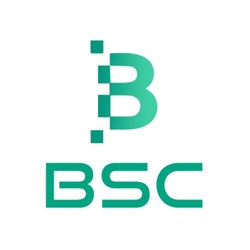 coin bsc