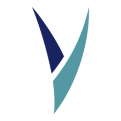 Vsync logo