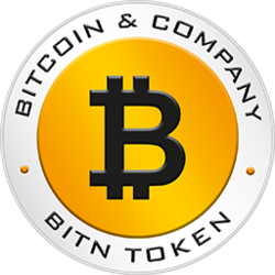 Bitcoin and Company Network