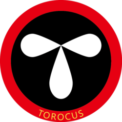 torocus-token