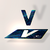 Real Vision Pro Crypto Genesis Collection (RVPCG)