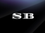 skybrook logo