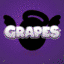 the-grapes logo