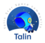 taciturn-robot-talin logo