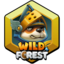 wild-forest-skins logo