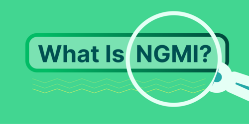 What Is NGMI in Crypto?