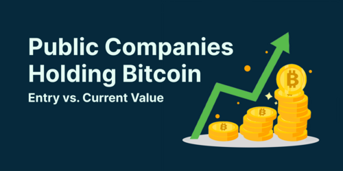 Top 10 Public Companies Holding Bitcoin: Entry Price vs. Current Value (2023)