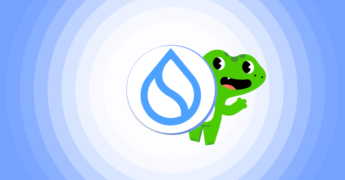 What Is Sui? A Deep Dive into Sui and Its Ecosystem