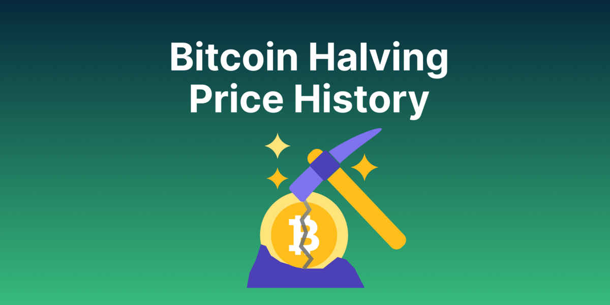 Bitcoin Price Increased an Average of 3,230% After Each Halving
