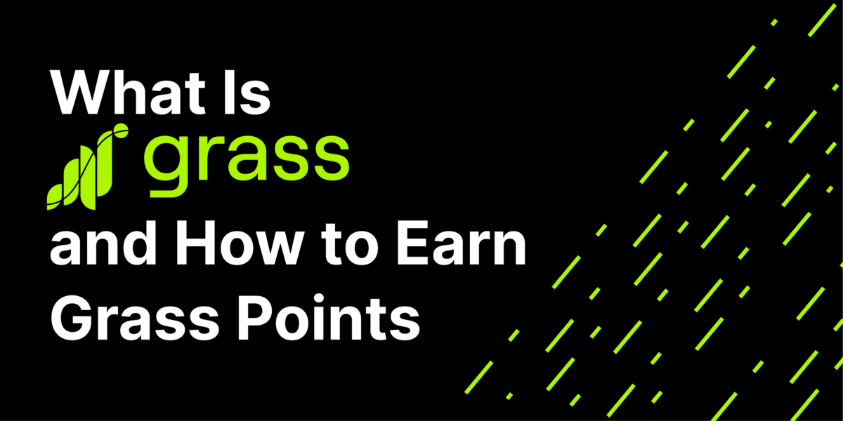 What Is Grass.io and How to Earn Points for a Potential Airdrop