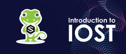 Introduction to IOST