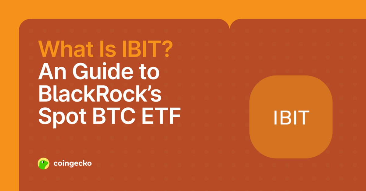 What Is IBIT? A Guide to BlackRock's Spot Bitcoin ETF