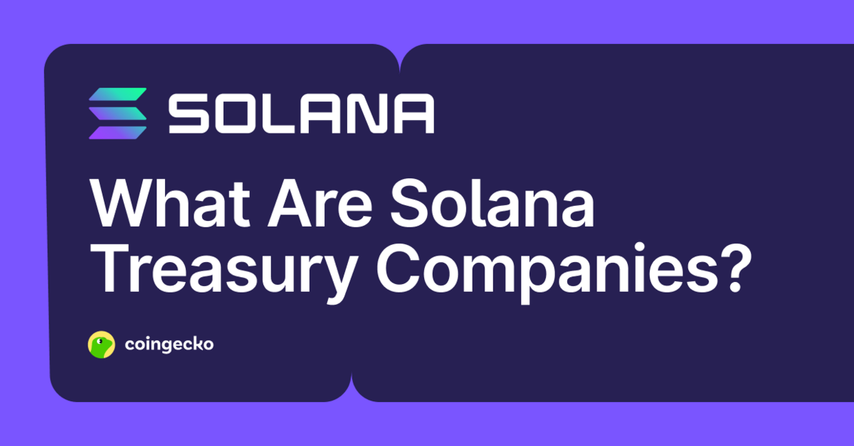 What Are Solana Treasury Companies and Top Companies Holding SOL