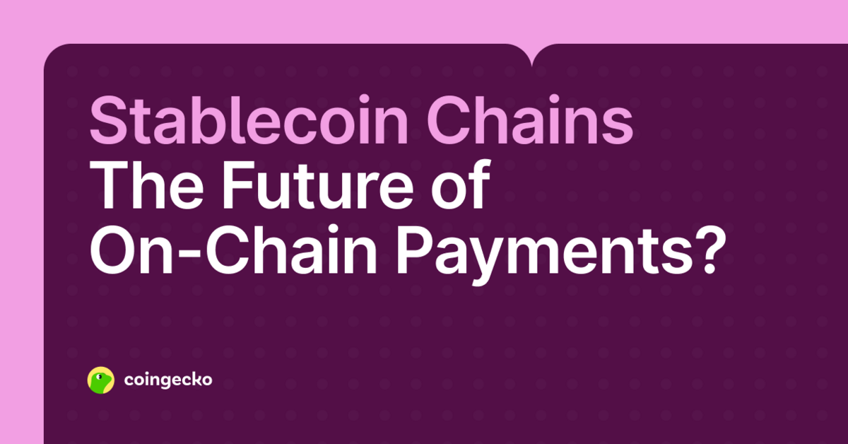 What Are Stablecoin Chains? A Guide to Payment-Focused Blockchains