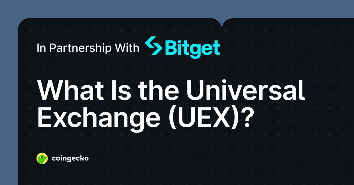  What Is the Universal Exchange (UEX)?