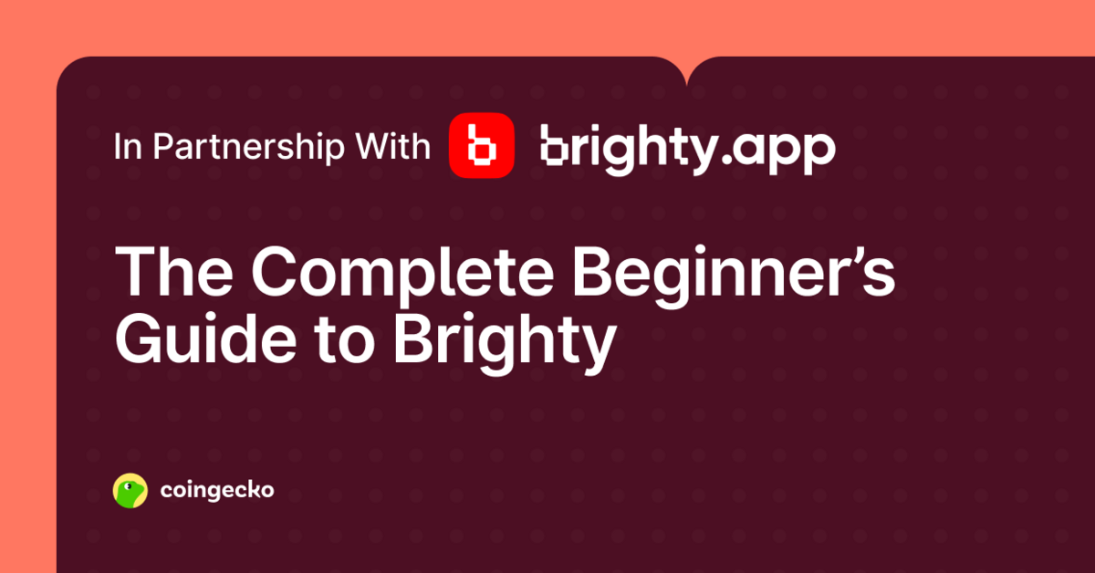 A Complete Beginner's Guide to Brighty App